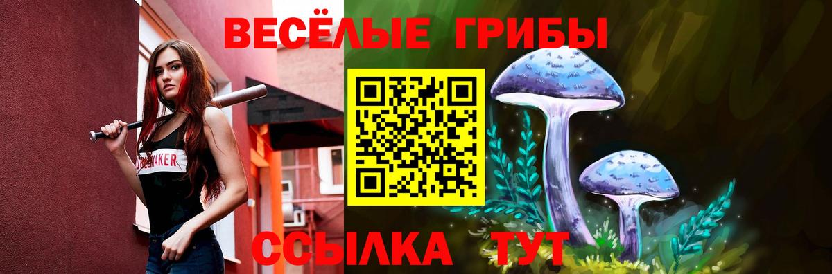 Галлюциногенные грибы MAGIC MUSHROOMS Грозный
